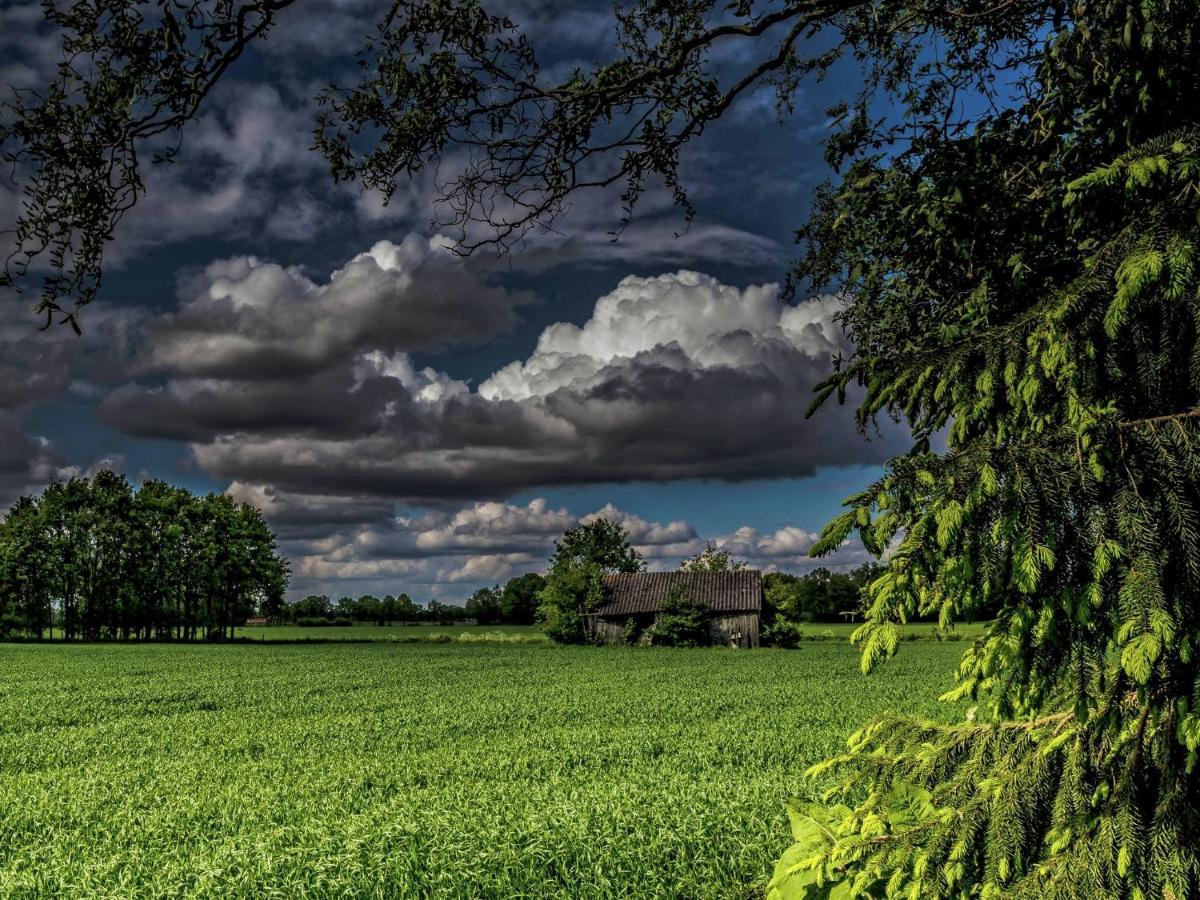 Staying In A Thatched Barn With Bedroom Achterhoek Geesteren  Екстер'єр фото